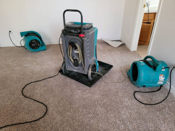 Best Basement water damage restoration  in Santa Venetia, CA
