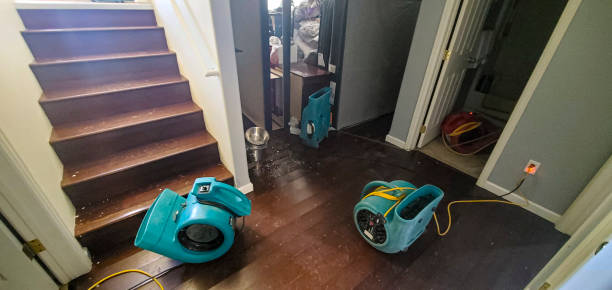  Santa Venetia, CA Water damage restoration Pros