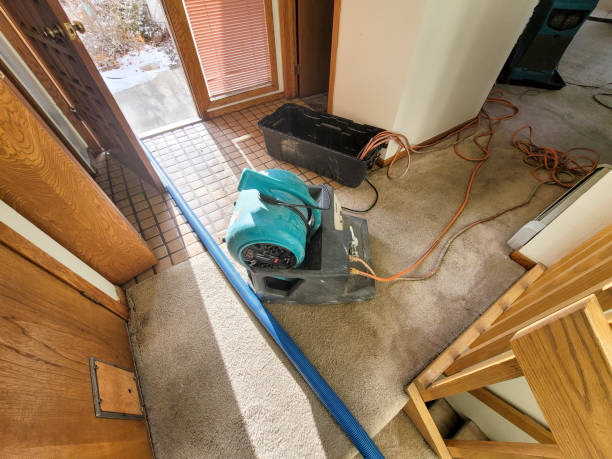 Best Carpet water damage restoration  in Santa Venetia, CA