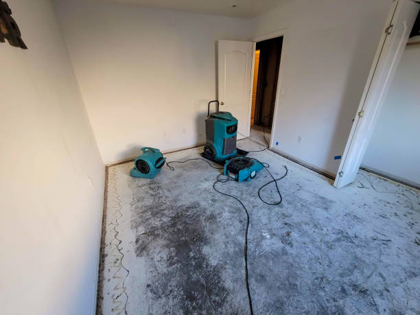 Best Carpet water damage restoration  in Santa Venetia, CA