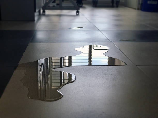 Best 24/7 water damage repair  in Santa Venetia, CA