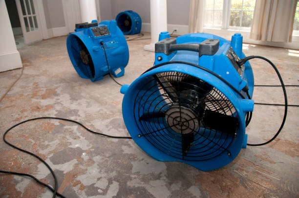 Best Flooded house restoration  in Santa Venetia, CA