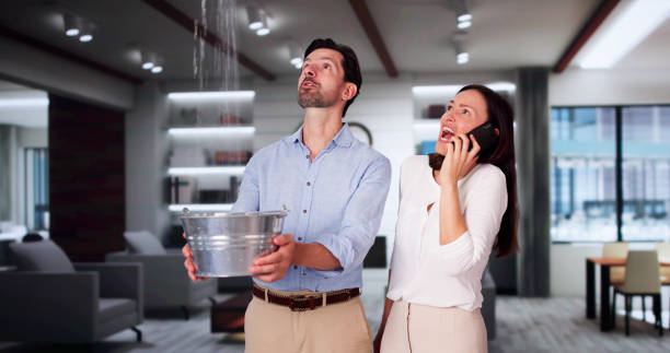 Best Mold removal after water damage  in Santa Venetia, CA